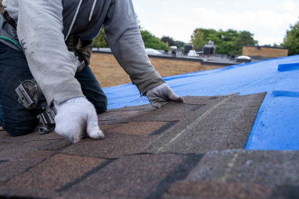 Fast & Reliable Emergency Roof Repairs in Tampa, FL